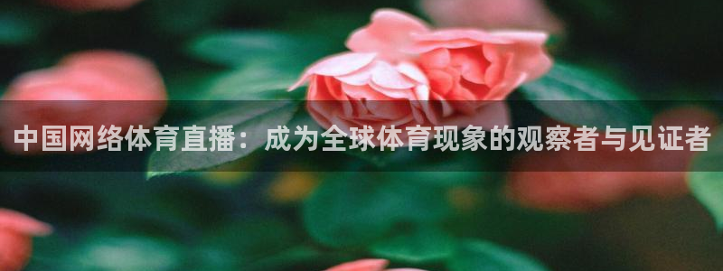 dqiuvip斗球直播：中国网络体育直播：成为全球体育现象的观察者与见证者