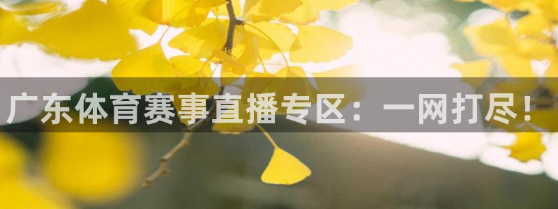 斗球直播吧jrs低调看球：广东体育赛事直播专区：一网打尽！
