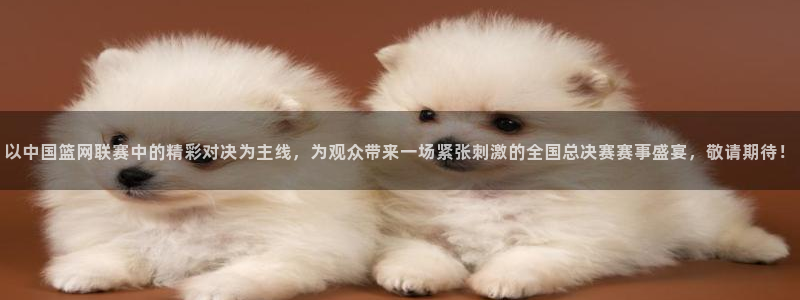 斗球直播免费观看高清：以中国篮网联赛中的精彩对决为主线，为观众带来一场紧张刺激的全国总决赛赛事盛宴，敬请期待！