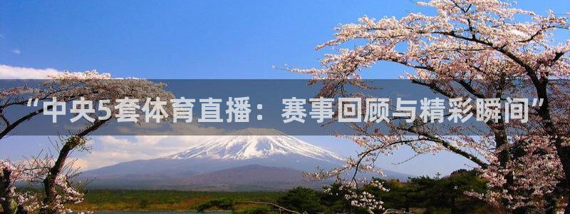 斗球直播在线观看入口：“中央5套体育直播：赛事回顾与精彩瞬间”