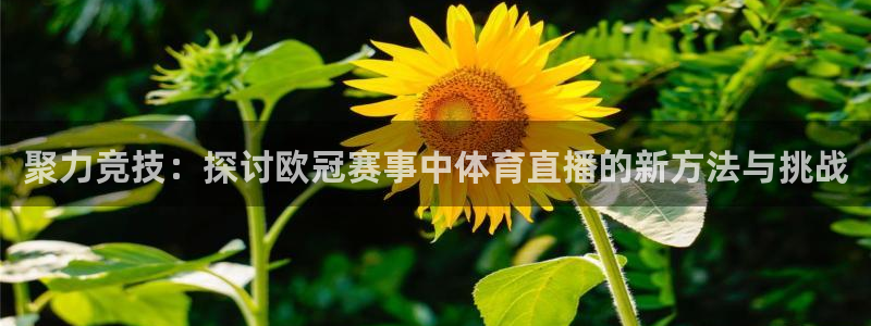 斗球直播jrs：聚力竞技：探讨欧冠赛事中体育直播的新方法与挑战