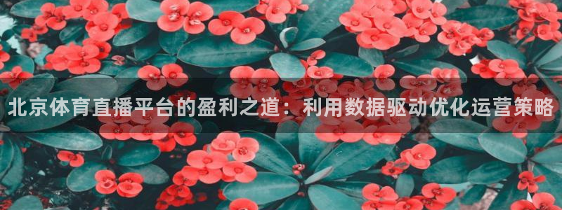 斗球直播在线观看：北京体育直播平台的盈利之道：利用数据驱动优化运营策略