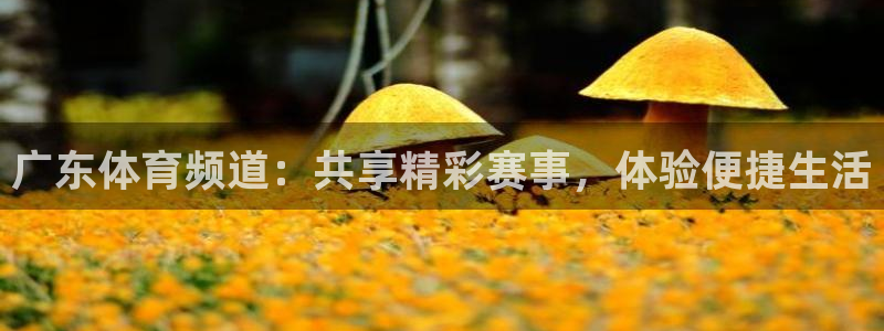 斗球直播苹果ios下载：广东体育频道：共享精彩赛事，体验便捷生活