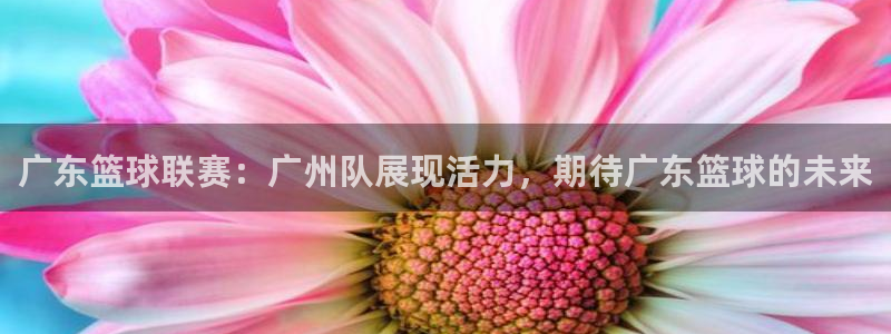 斗球直播app在线观看：广东篮球联赛：广州队展现活力，期待广东篮球的未来