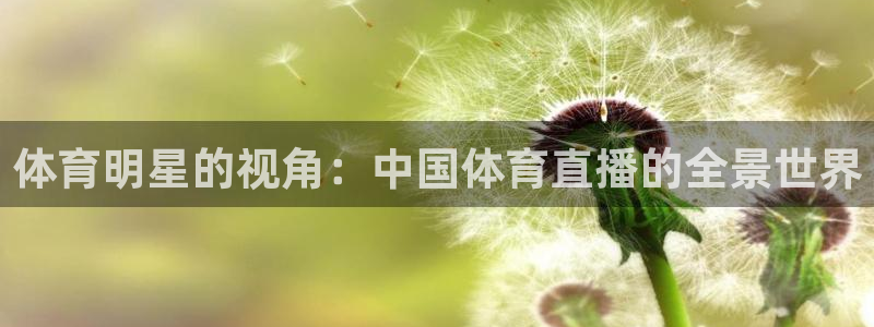 nba斗球直播：体育明星的视角：中国体育直播的全景世界